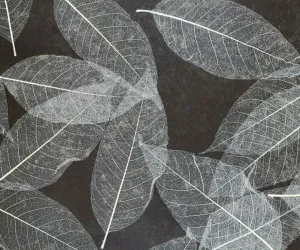 SKELETTBLATTLA MEDIUM on flexi fleece and flexi self-adhesive by Organoid, a Wallpaper for sale on Style Sourcebook