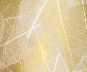 SKELETTBLATTLA on golden paper by Organoid, a Wallpaper for sale on Style Sourcebook
