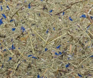 WILDSPITZE HIMMELBLAU PREMIUM by Organoid, a Wallpaper for sale on Style Sourcebook