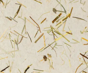 WILDSPITZE LIGHT on natural flax fleece by Organoid, a Wallpaper for sale on Style Sourcebook