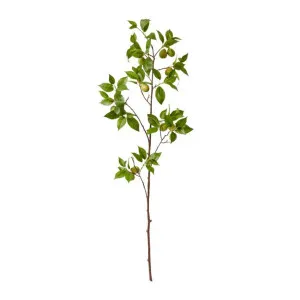 Fruit Branch - 119cm by null, a Plants for sale on Style Sourcebook