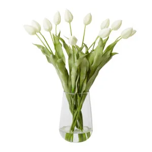 Tulips - Demi Vase - 50cm x 50cm x 70cm by null, a Plants for sale on Style Sourcebook