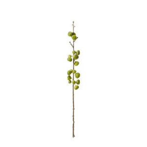 Fig Stem - 15cm x 15cm x 74cm by null, a Plants for sale on Style Sourcebook