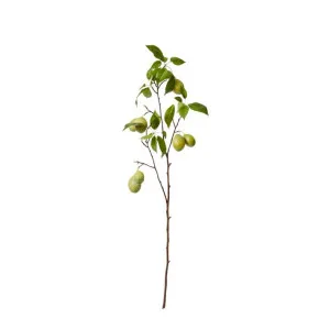 Fruit Branch - 28cm x 12cm x 98cm by null, a Plants for sale on Style Sourcebook