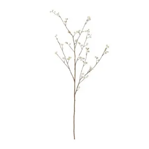 Pom Pom Spray - 105cm by null, a Plants for sale on Style Sourcebook