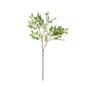 Simarouba Seeding Branch - 99cm by null, a Plants for sale on Style Sourcebook