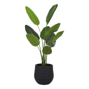Bird of Paradise Planter 107x150cm in Green/Black by OzDesignFurniture, a Plants for sale on Style Sourcebook