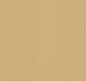 Tennant Plus Cappuccino by Wortley, a Leather for sale on Style Sourcebook