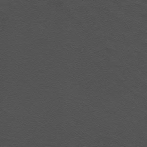Tennant Plus Charcoal by Wortley, a Leather for sale on Style Sourcebook