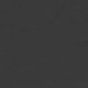 Matisse Black by Tasman, a Leather for sale on Style Sourcebook