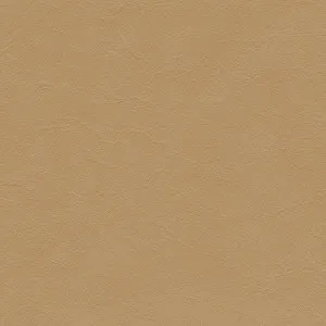 Matisse Ochre by Tasman, a Leather for sale on Style Sourcebook