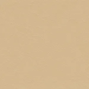 Matisse Palomino by Tasman, a Leather for sale on Style Sourcebook