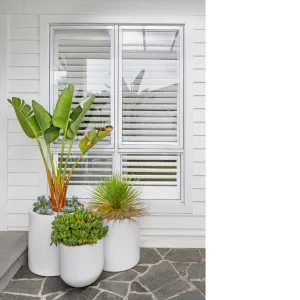 Fauxwood Shutters by Wynstan, a Shutters for sale on Style Sourcebook