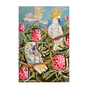 Banksia Birds by Gioia Wall Art, a Prints for sale on Style Sourcebook