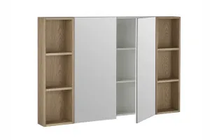 Suffolk Mirror Cabinet by Loughlin Furniture, a Vanity Mirrors for sale on Style Sourcebook