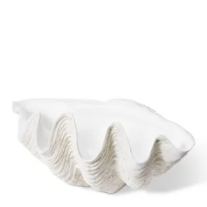 Clam Shell X-Lg Sculpture - 85 x 56 x 41cm by null, a Statues & Ornaments for sale on Style Sourcebook