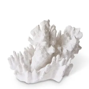 Coral Wave - 29 x 20 x 21cm by null, a Statues & Ornaments for sale on Style Sourcebook
