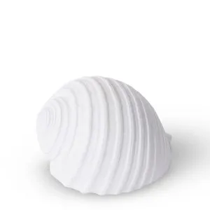 Shell Moon Snail - 11 x 9 x 8cm by null, a Statues & Ornaments for sale on Style Sourcebook