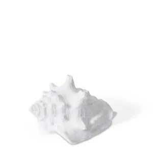 Shell Fighting Conch - 8 x 6 x 4cm by null, a Statues & Ornaments for sale on Style Sourcebook