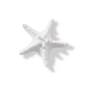 Starfish Knobbed - 9 x 9 x 3cm by null, a Statues & Ornaments for sale on Style Sourcebook