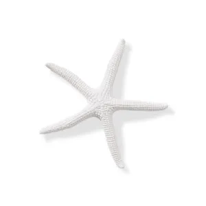 Starfish Sea Star - 11 x 11 x 11cm by null, a Statues & Ornaments for sale on Style Sourcebook