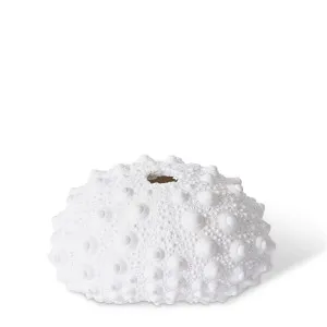 Shell Sea Urchin - 9 x 8 x 5cm by null, a Statues & Ornaments for sale on Style Sourcebook