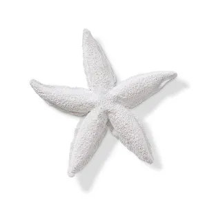 Starfish Royal - 20 x 20 x 3cm by null, a Statues & Ornaments for sale on Style Sourcebook