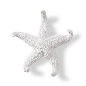 Starfish Ochre - 24 x 24 x 5cm by null, a Statues & Ornaments for sale on Style Sourcebook