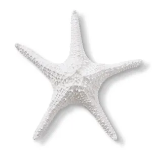 Starfish Bat Star - 32 x 32 x 7cm by null, a Statues & Ornaments for sale on Style Sourcebook