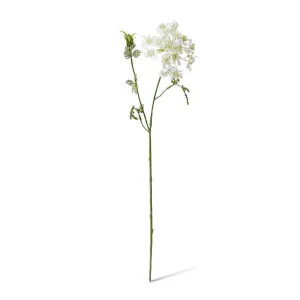 Lace Flower Stem - 14 x 9 x 74cm by null, a Plants for sale on Style Sourcebook