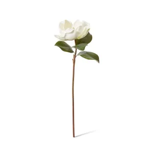 Magnolia Grand Stem - 22 x 28 x 71cm by null, a Plants for sale on Style Sourcebook
