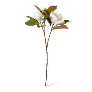 Magnolia Classic Flower & Bud - 33 x 39 x 74cm by null, a Plants for sale on Style Sourcebook