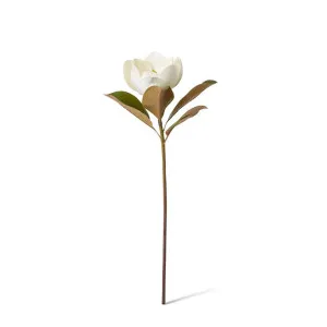 Magnolia Flower Classic Stem - 19 x 26 x 60cm by null, a Plants for sale on Style Sourcebook