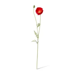 Poppy Spray - 12 x 7 x 61cm by null, a Plants for sale on Style Sourcebook