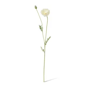 Poppy Spray - 12 x 7 x 61cm by null, a Plants for sale on Style Sourcebook