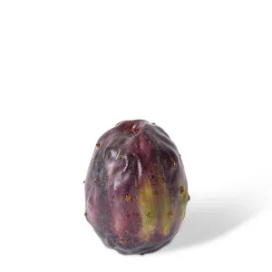 Prickly Pear Fruit - 5 x 5 x 7cm by null, a Plants for sale on Style Sourcebook