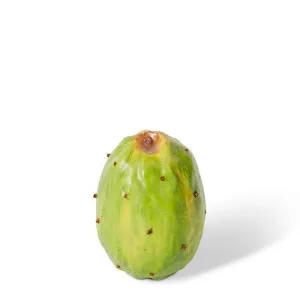 Prickly Pear Fruit - 5 x 5 x 7cm by null, a Plants for sale on Style Sourcebook