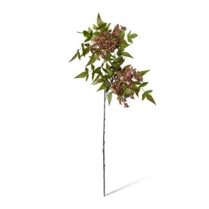 Pepper Berry Spray - 50 x 30 x 94cm by null, a Plants for sale on Style Sourcebook