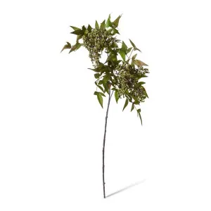 Pepper Berry Spray - 50 x 30 x 94cm by null, a Plants for sale on Style Sourcebook