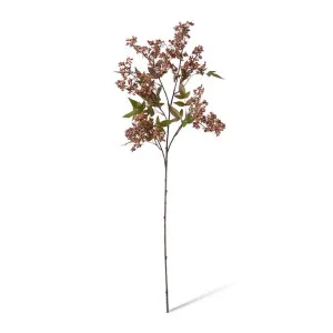 Pepper Berry Spray - 45 x 24 x 110cm by null, a Plants for sale on Style Sourcebook