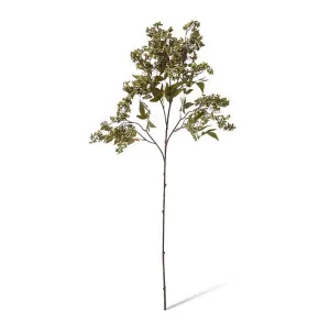 Pepper Berry Spray - 45 x 24 x 110cm by null, a Plants for sale on Style Sourcebook
