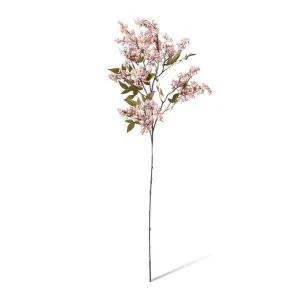 Pepper Berry Spray - 45 x 24 x 110cm by null, a Plants for sale on Style Sourcebook