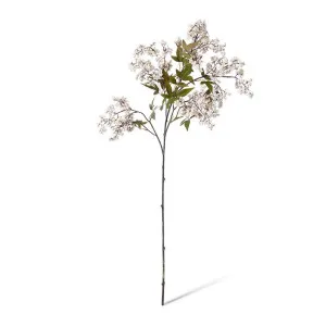 Pepper Berry Spray - 45 x 24 x 110cm by null, a Plants for sale on Style Sourcebook