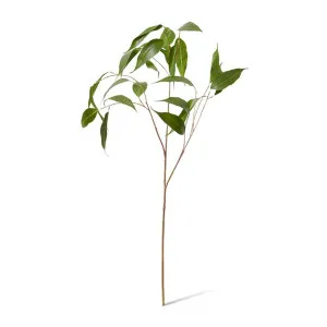 Eucalyptus Leaf Spray - 46 x 34 x 91cm by null, a Plants for sale on Style Sourcebook