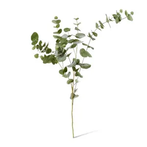Eucalyptus Leaf Spray - 48 x 26 x 119cm by null, a Plants for sale on Style Sourcebook