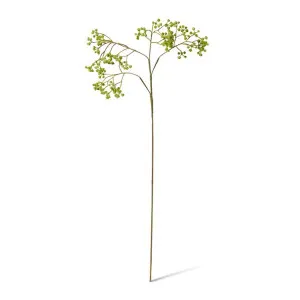 Berry Seed Spray - 25 x 15 x 63cm by null, a Plants for sale on Style Sourcebook