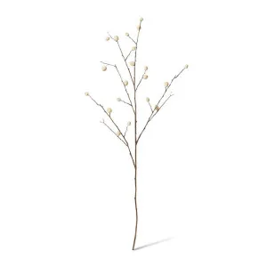 Berry Pod Dried Look Branch - 20 x 8 x 108cm by null, a Plants for sale on Style Sourcebook