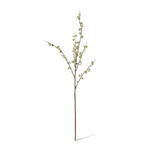 Berry Seeding Branch - 38 x 14 x 122cm by null, a Plants for sale on Style Sourcebook