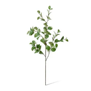 Elm Leaf Spray - 40 x 22 x 122cm by null, a Plants for sale on Style Sourcebook