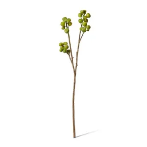 Fig Branch - 28 x 16 x 96cm by null, a Plants for sale on Style Sourcebook